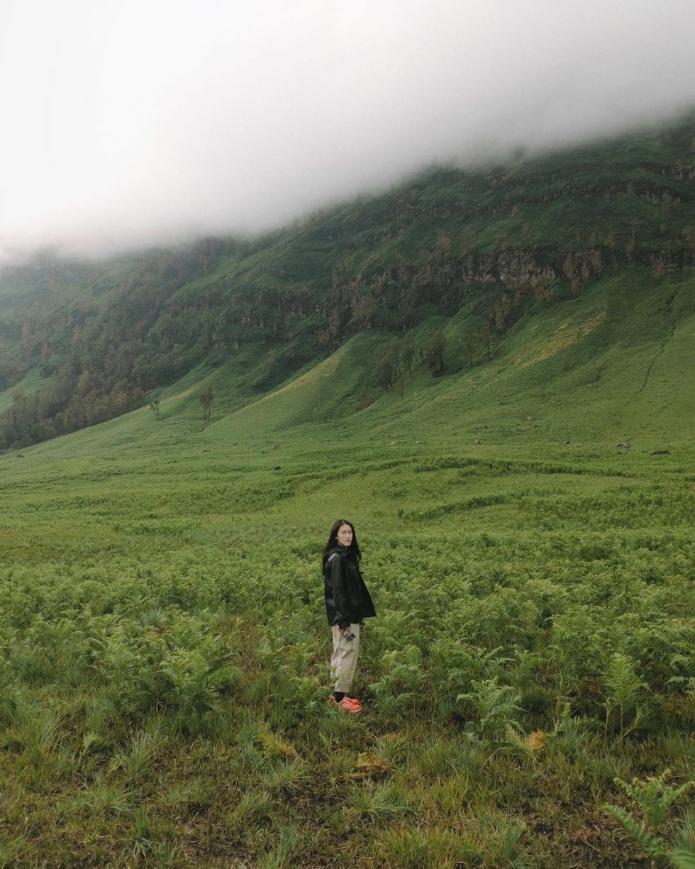 Savana Bromo, Spot Padang Rumput yang Sangat Luas dan Sayang Untuk ...